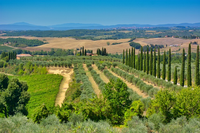 tour della Toscana bici camper auto