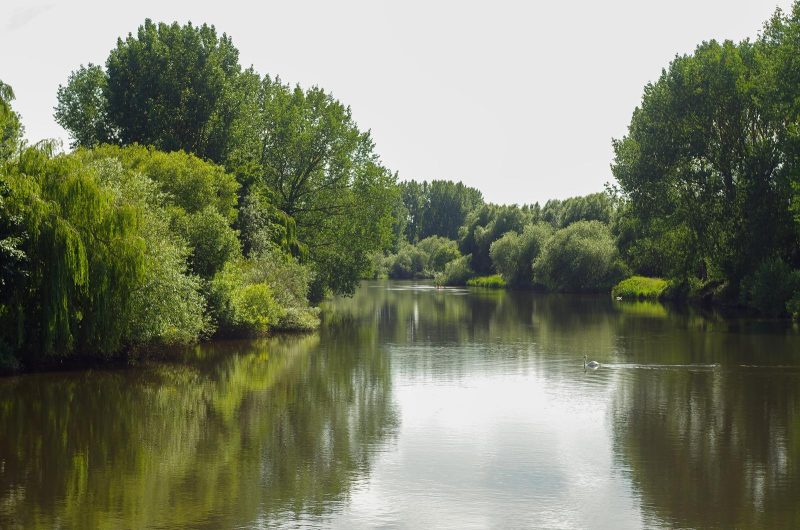 Fiume Sile