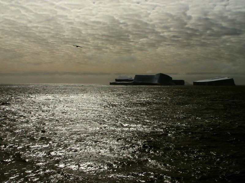 Isola di Bouvet