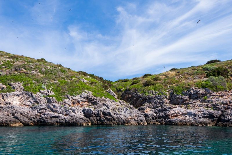 Isola di Giannutri
