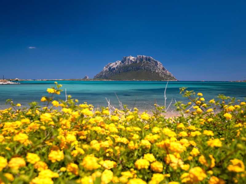 Isola di Tavolara