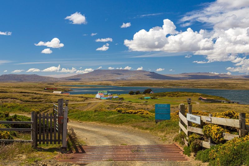 Isole Falkland