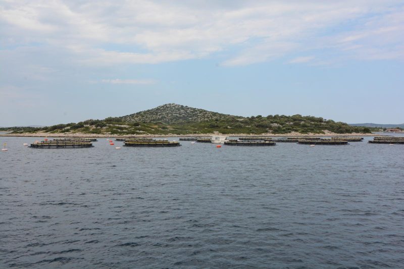 Isole Incoronate